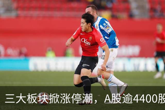 三大板块掀涨停潮，A股逾4400股上涨！