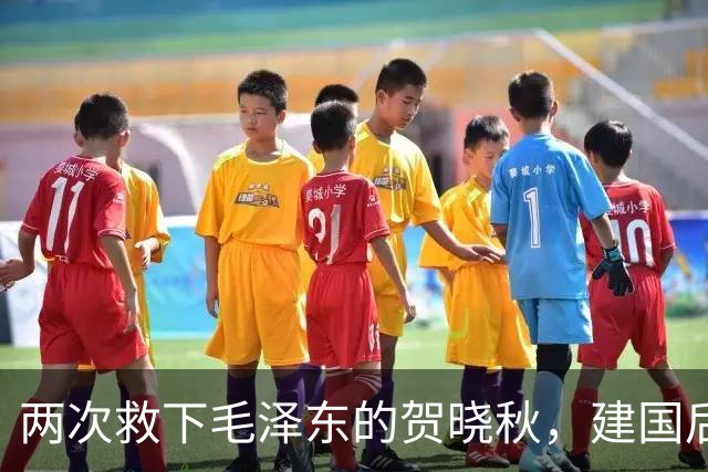 两次救下毛泽东的贺晓秋，建国后其子赴京求见，主席赐下两项特权