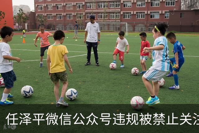 任泽平微信公众号违规被禁止关注，网友：听课股民亏得一塌糊涂