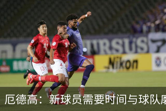 厄德高：新球员需要时间与球队磨合，我们每周都在变得更好