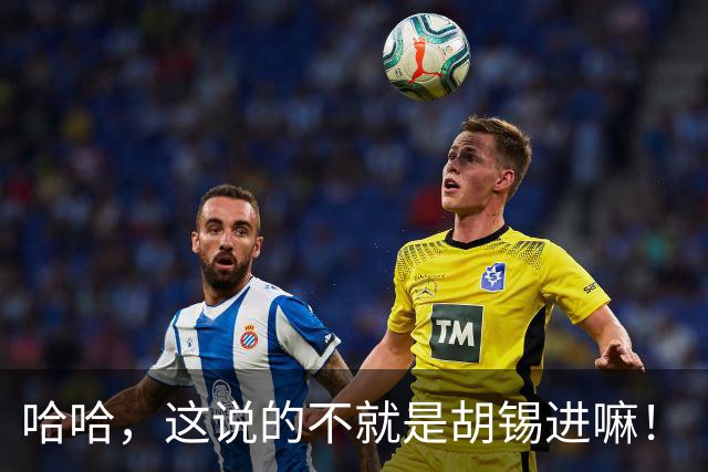 哈哈，这说的不就是胡锡进嘛！