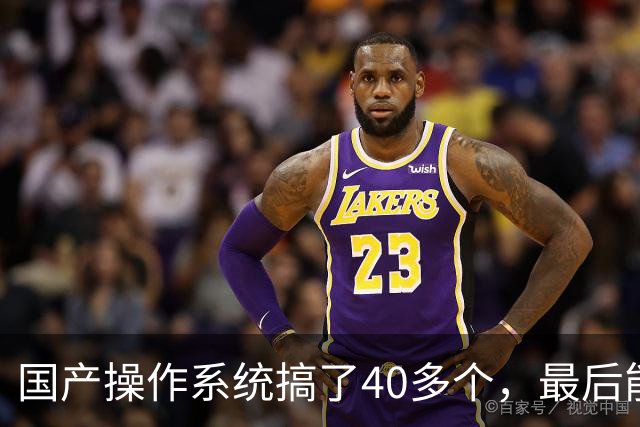 国产操作系统搞了40多个，最后能跟Windows掰手腕的可能就两三个