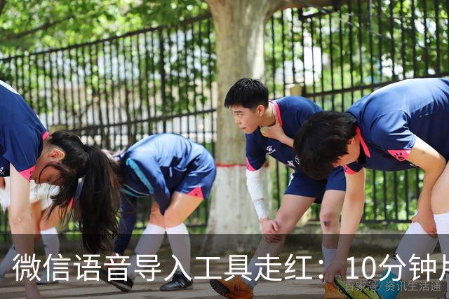 微信语音导入工具走红：10分钟片段约2秒完成