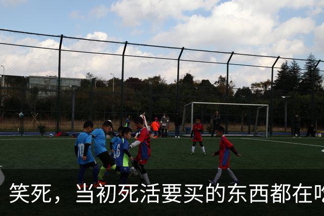 笑死，当初死活要买的东西都在吃灰了吗？网友：我正准备买呢