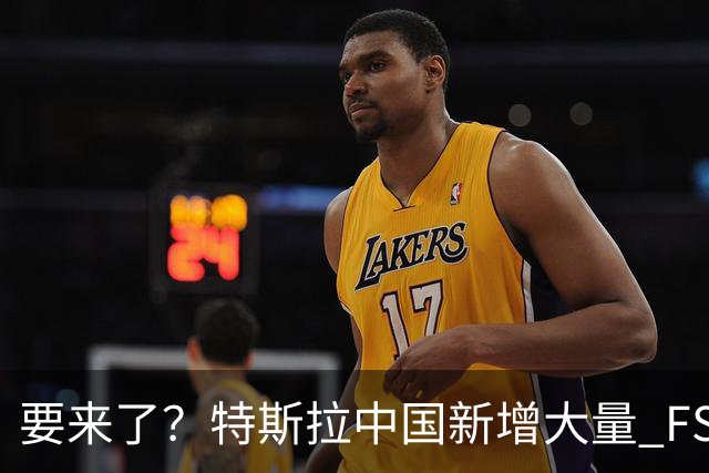 要来了？特斯拉中国新增大量 FSD 功能和图标