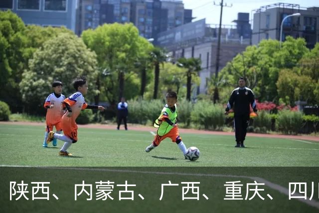 陕西、内蒙古、广西、重庆、四川、贵州、云南、西藏、甘肃、青海、宁夏、新疆联合发布“双十一”提示