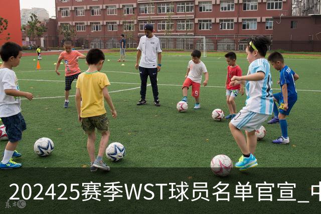 2024/25赛季WST球员名单官宣 中国军团共26人出战