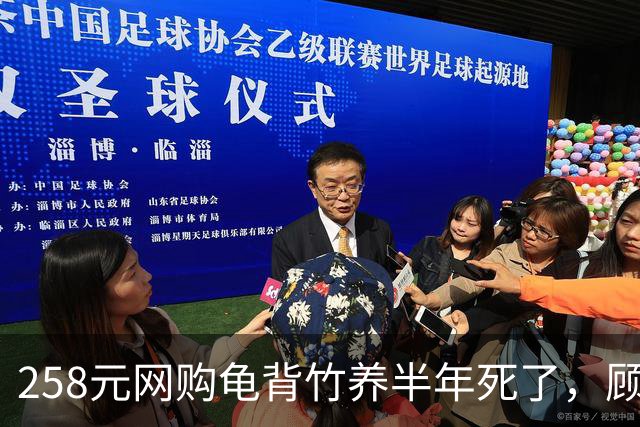258元网购龟背竹养半年死了，顾客要求全额退款，商家拒绝后被投诉到闭店，对方还不依不饶起诉，商家应诉：店都没了，为什么要妥协